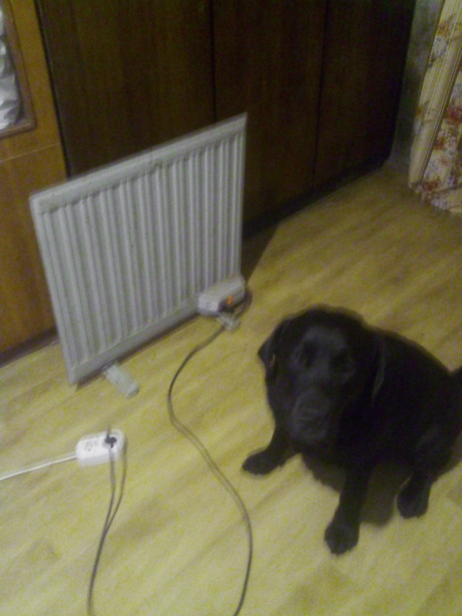 Фото автора.