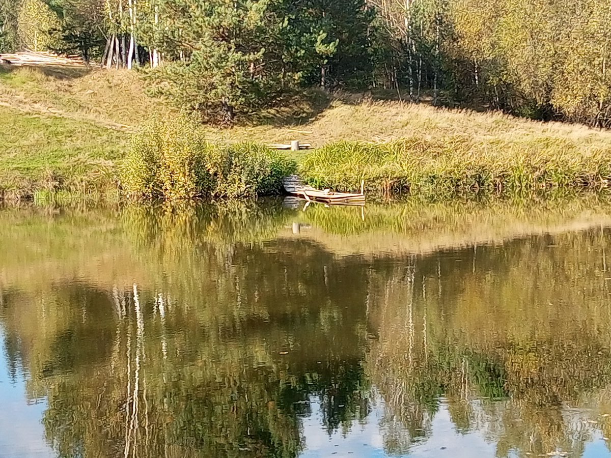 Осень. Фото автора.