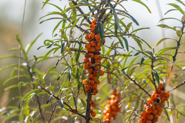    Фото Андрея Заржецкого