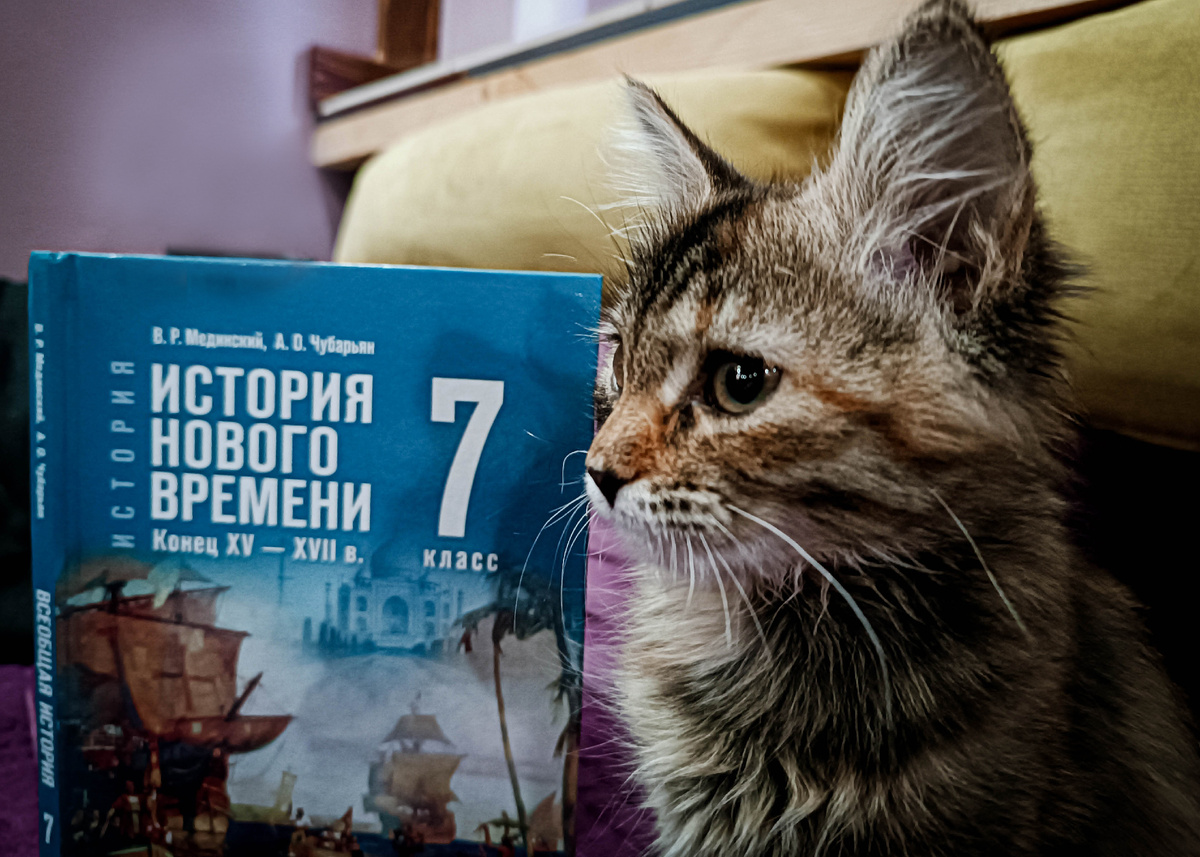 Готовимся к уроку по истории.