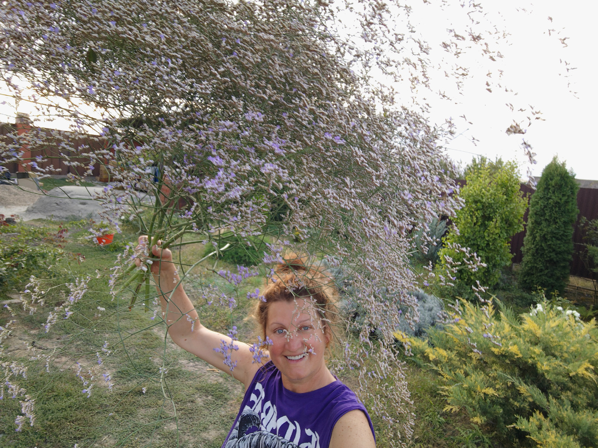 Зато какой букет кермека я вырастила!