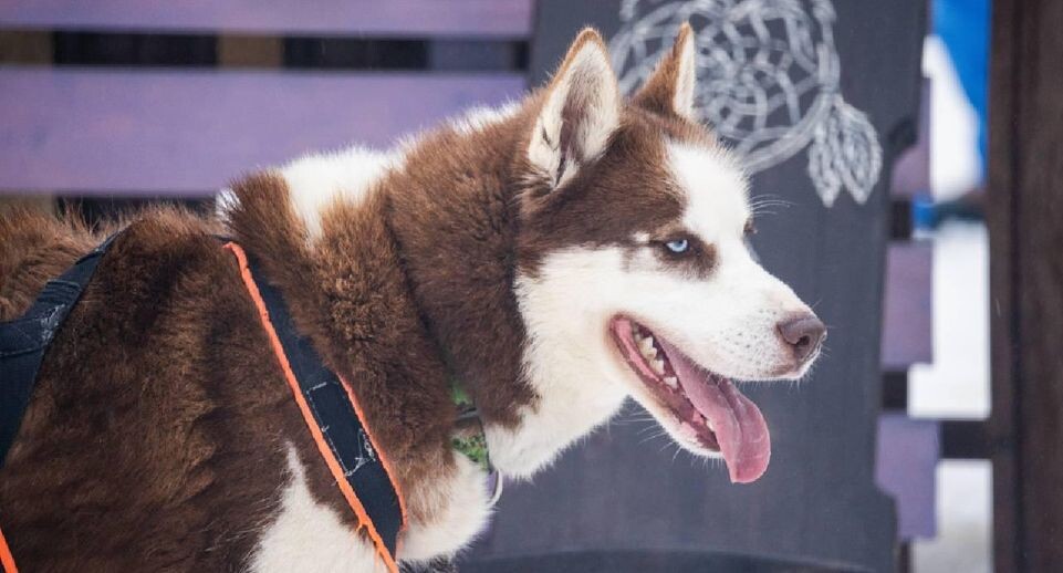    Медиасток.рф