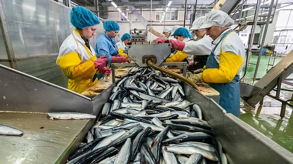 Фото: Пресс-служба правительства Дагестана