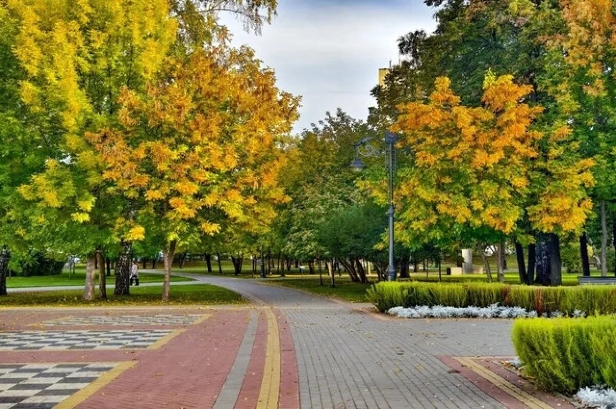    Аномальное тепло сохранится в Томской области до конца недели