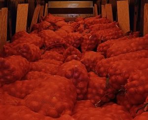 Фото: пресс-служба Уральского управления Россельхознадзора