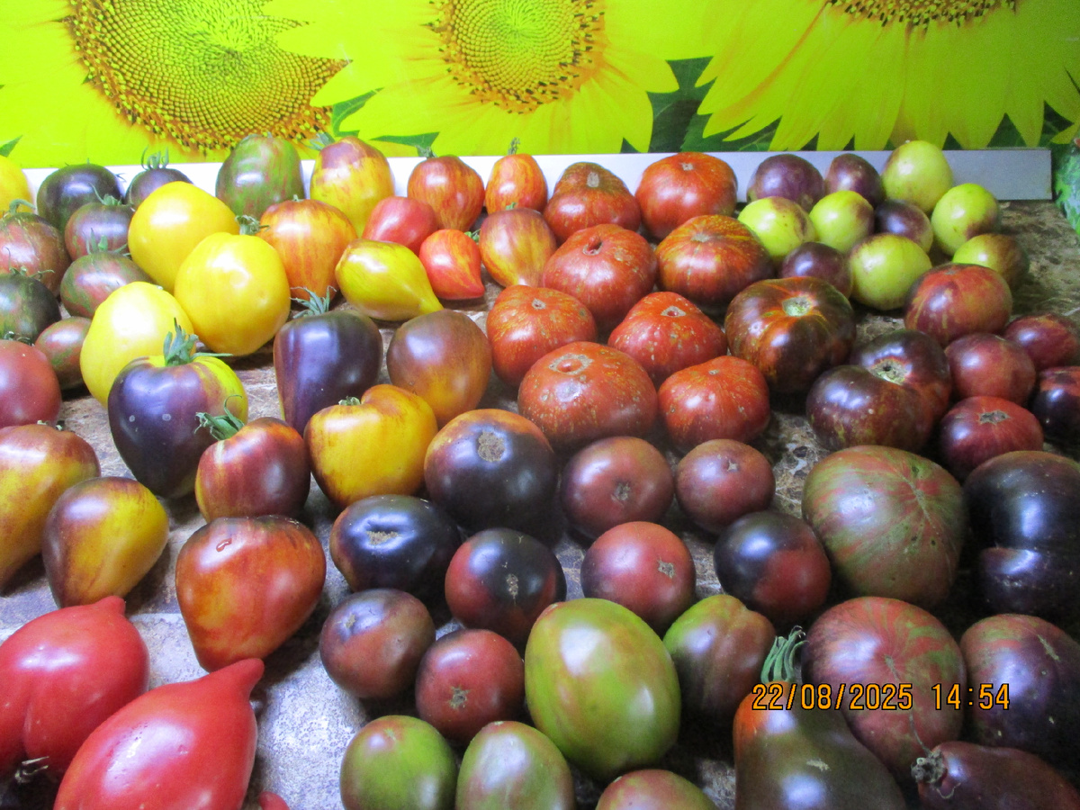 Темная Галактика в центре вверху. №988 в Каталоге. Оригинальное название Dark Galaxy.