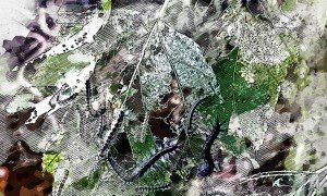 Фото: паблик ВКонтакте «Ливны. Уездный город»  📷
