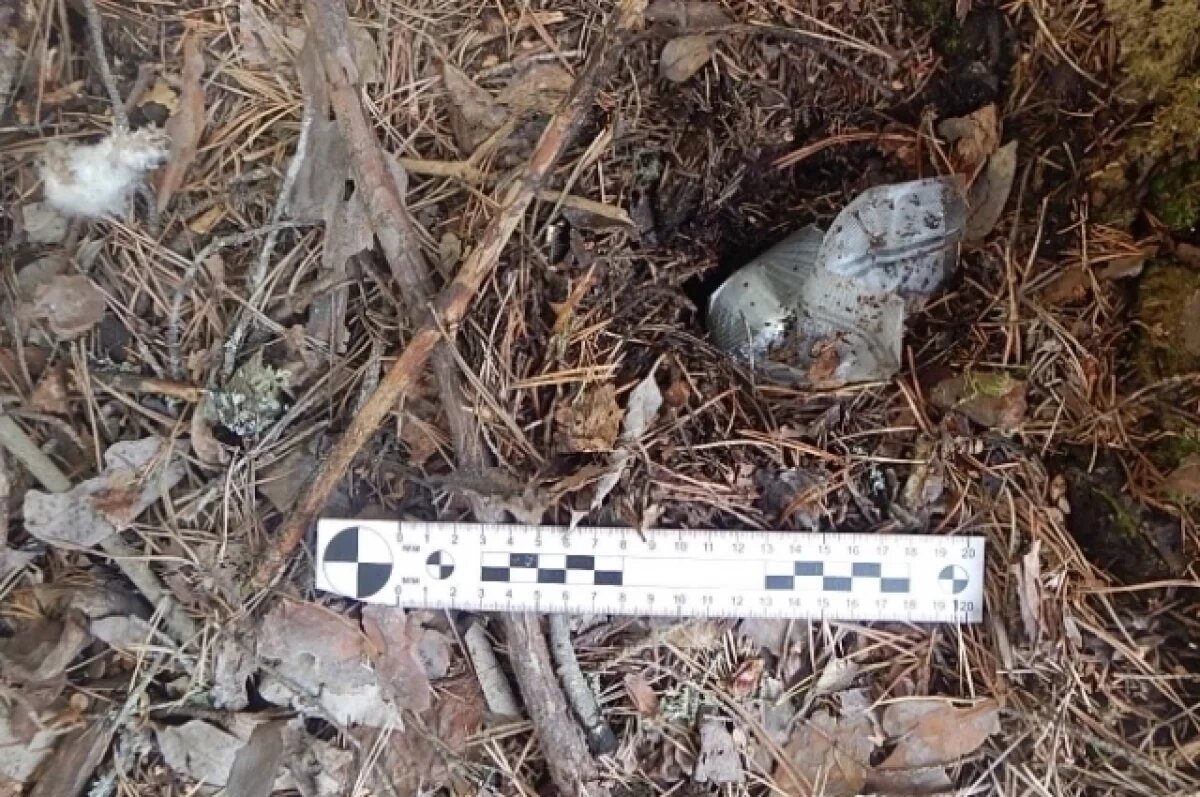    Три юных воркутинца обвиняются в сбыте наркотиков