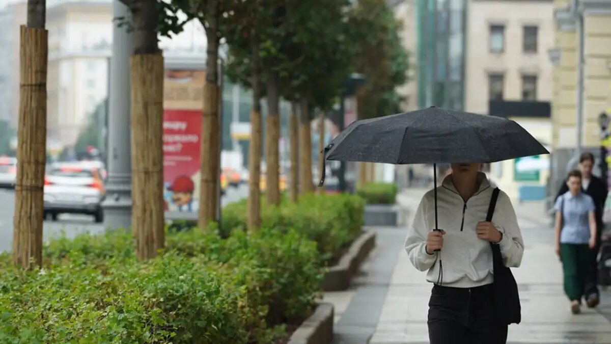     © АГН "Москва"