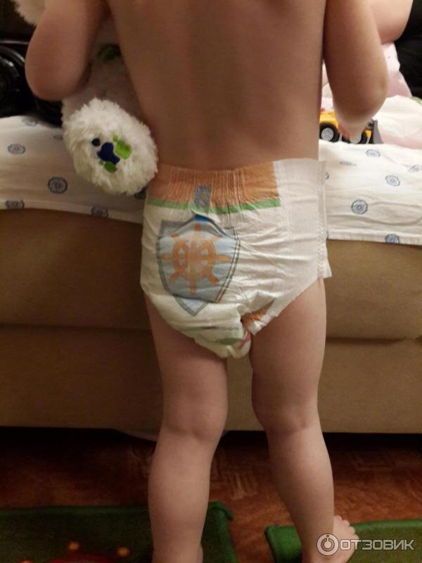 Фото из свободных источников Яндекс 