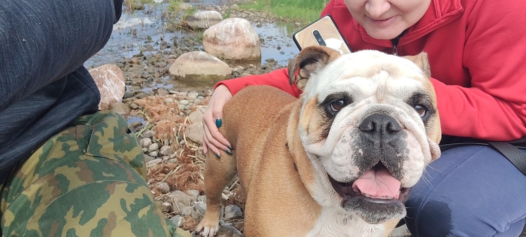 Булька довольна