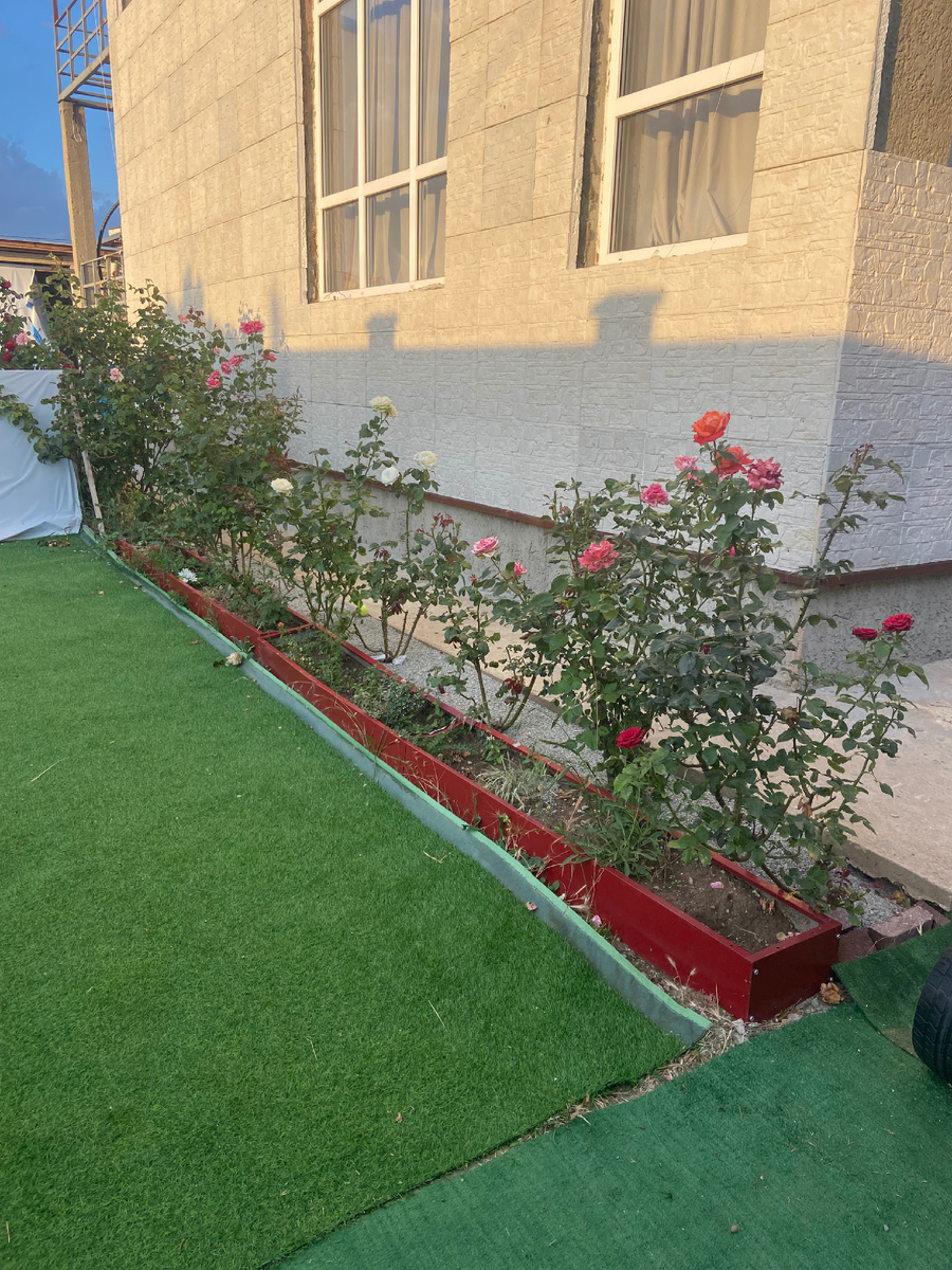 Фото из личного архива: притягательный кусочек дома и моих роз