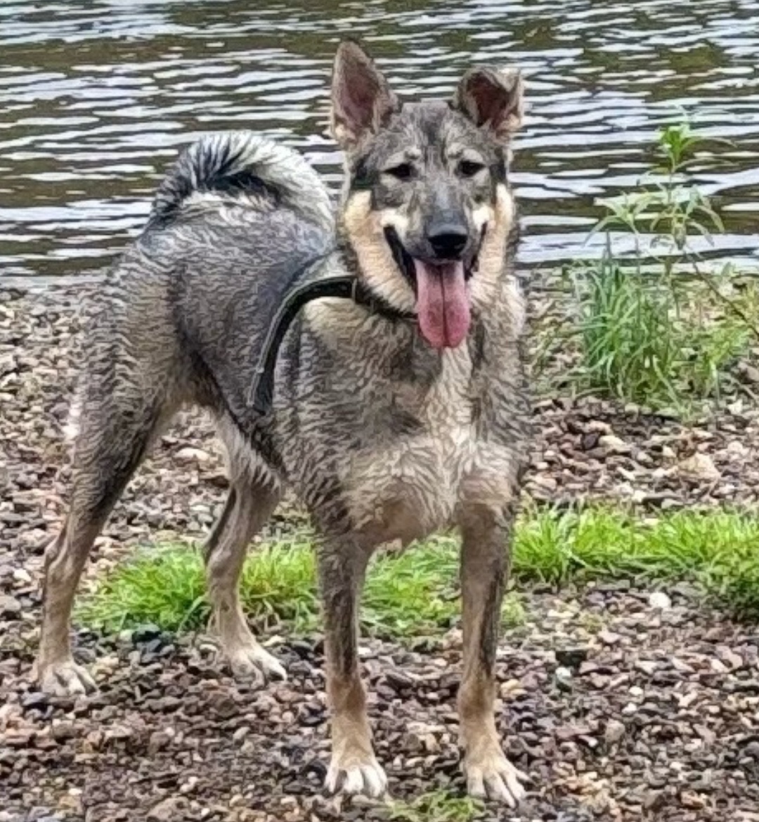 Ирма август 2025