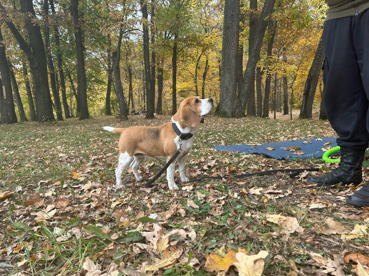    Автор фото: Анастасия Федосеева