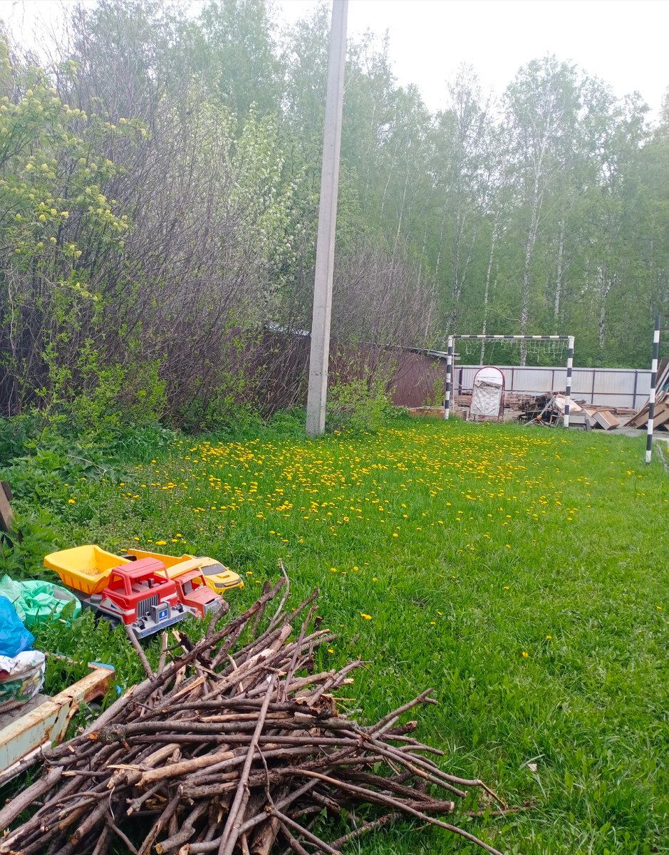 Вишнёвые заросли. Более двух метров шириной и десять метров в длину. Это с обеих сторон участка.