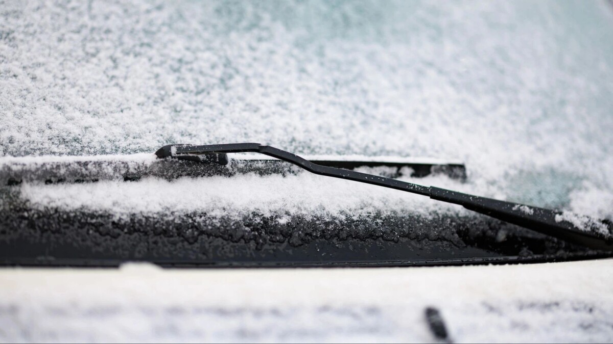    Фото: Юлия Чудинова/«Ямал-Медиа»