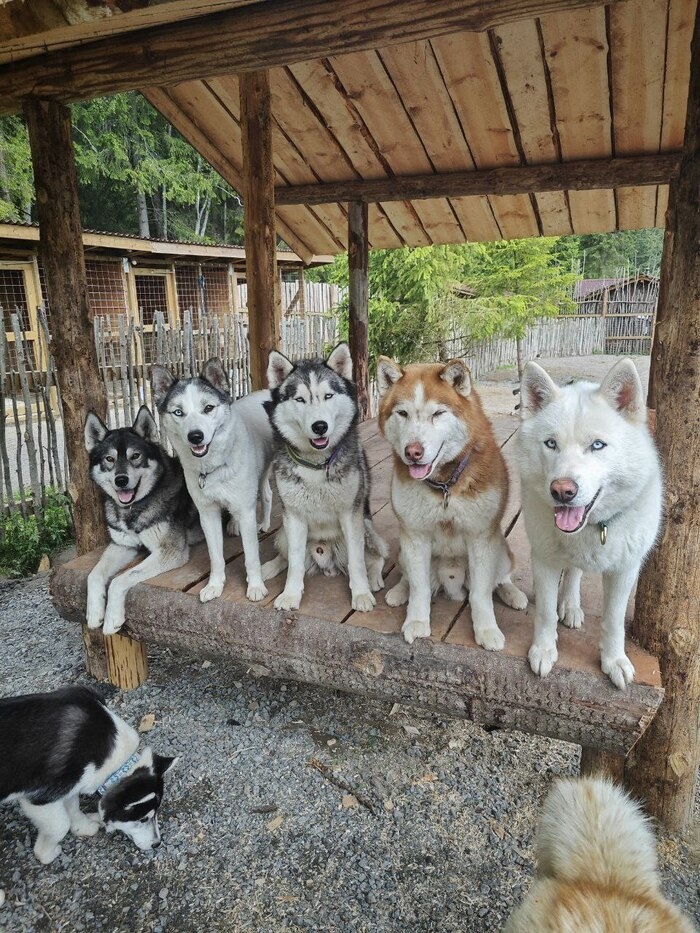 Листайте вправо, чтобы увидеть больше изображений