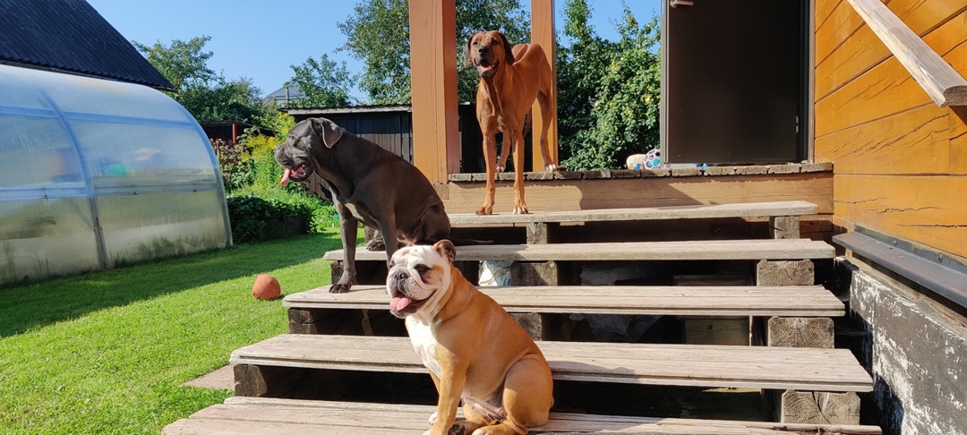 Участницы путешествия готовы