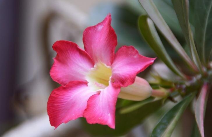    Фото: ru.freepik.com