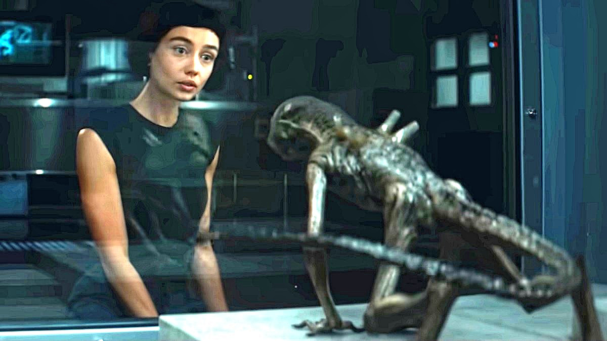 - Фу, Барсик! Как не стыдно - серной кислотой мои любимые тапки метить! 