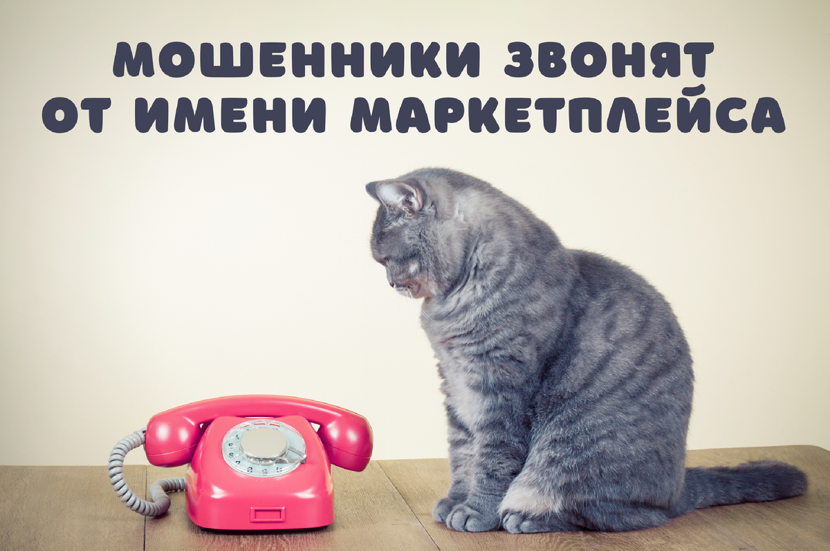 Фото: Shutterstock / BrAt82