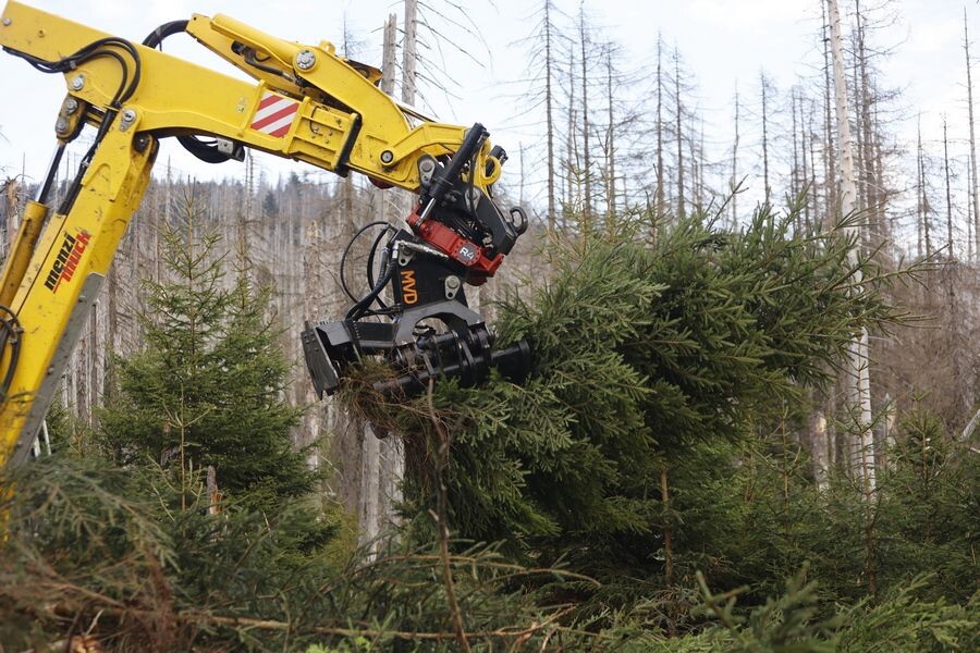     / Источник: © Matthias Bein/dpa/picture-alliance/ТАСС