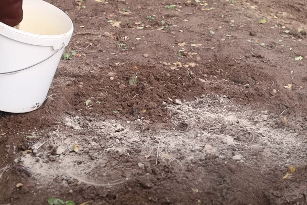 Скриншот видео