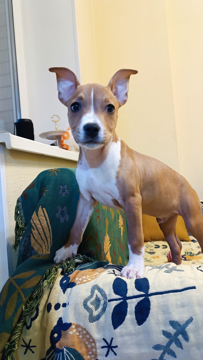 Фото от 23.09.2025