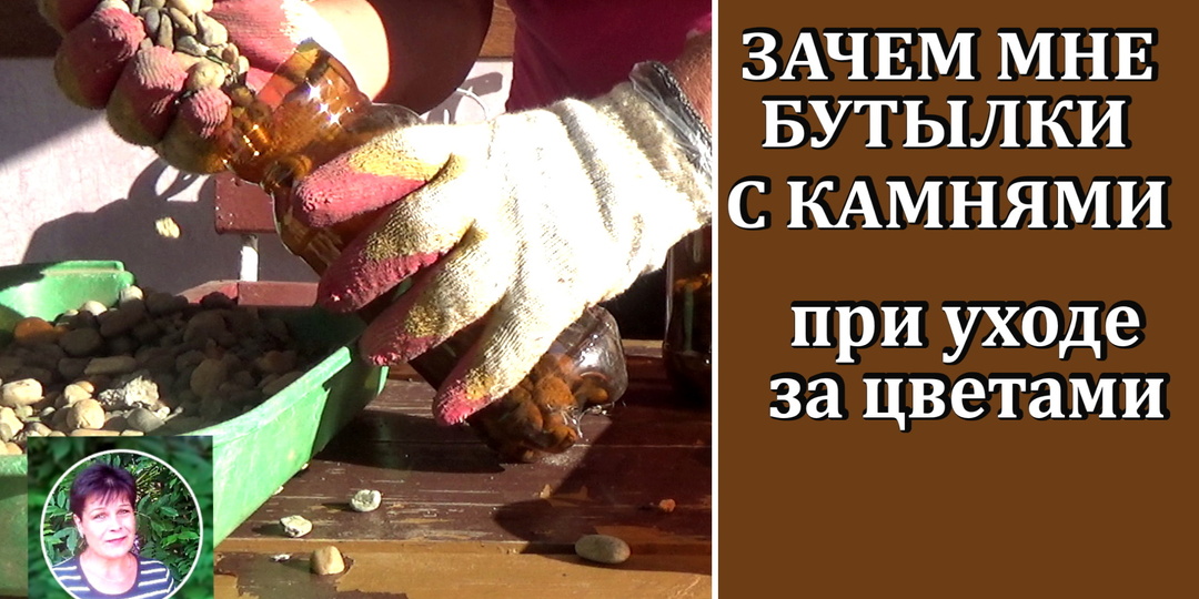 Зачем мне бутылки с камнями при осенней посадке цветов