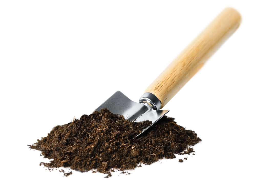 Источник фото shutterstock.com