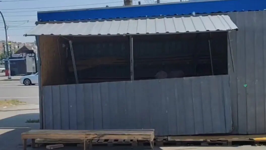    Фото: предоставлено Царьграду.