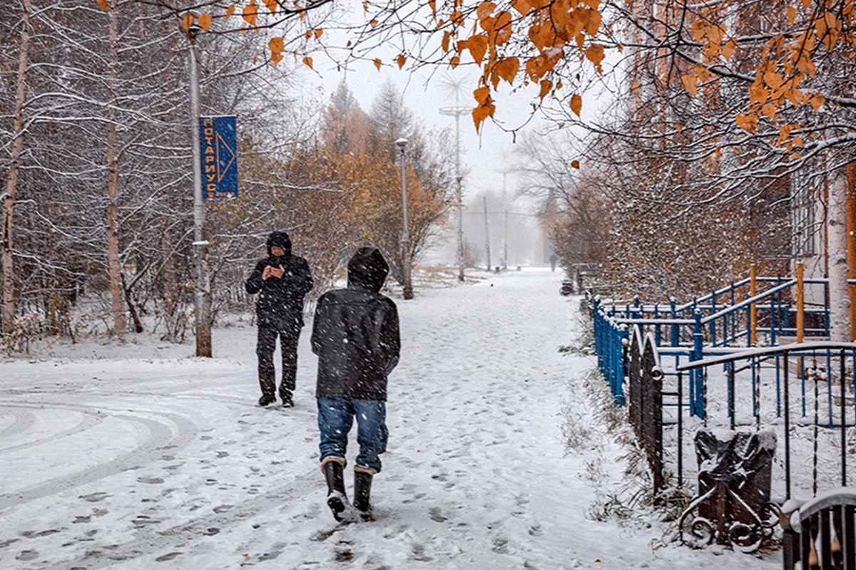    Фото: Андрей Сорокин, источник: ria.ru