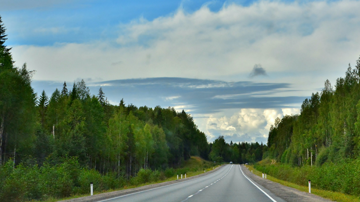 Дорога к Кинерме