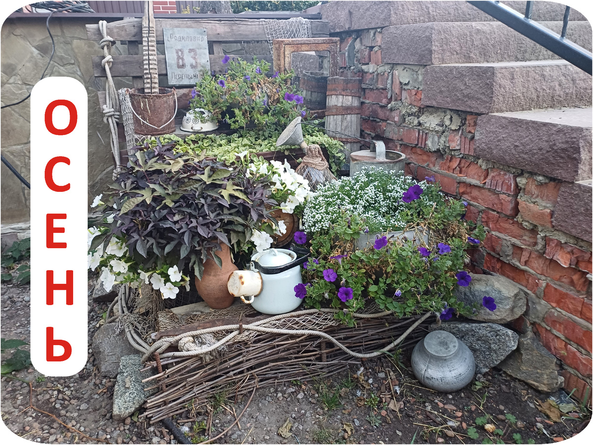 такой композиция выглядет сегодня. фто автора