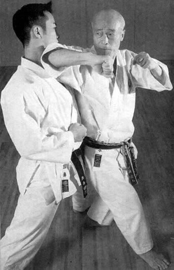 Фото с сайта https://tr.pinterest.com/pin/672232681872027175/