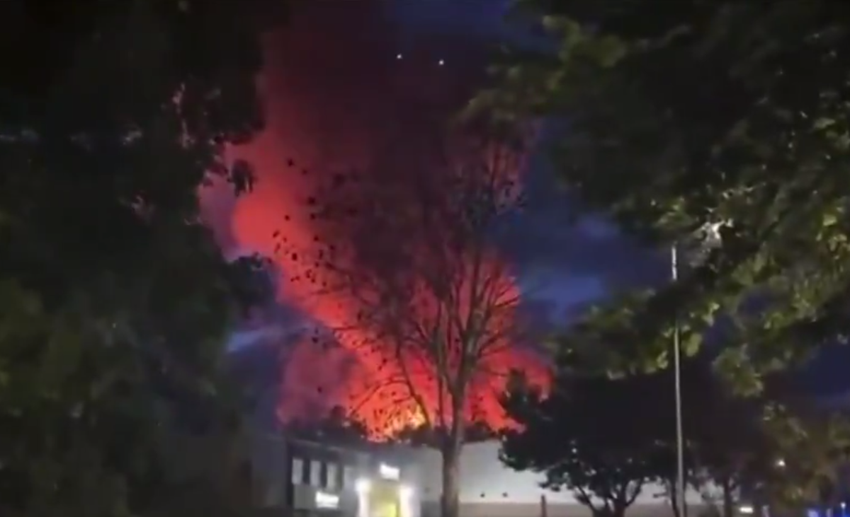     / Источник: © Соцсети. Кадр из видео