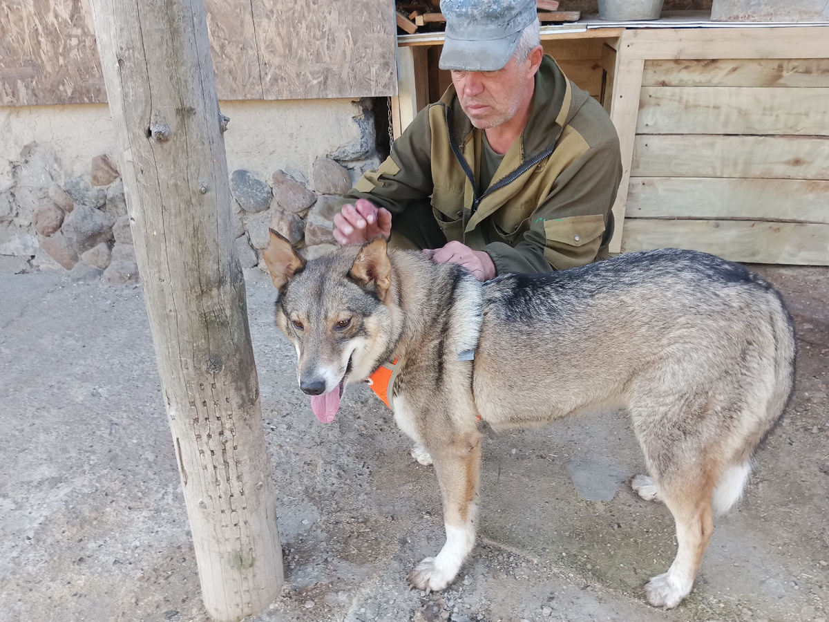 Знакомство с хозяином