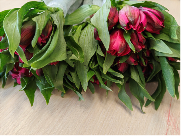     Фото: Россельхознадзор Свердловской области