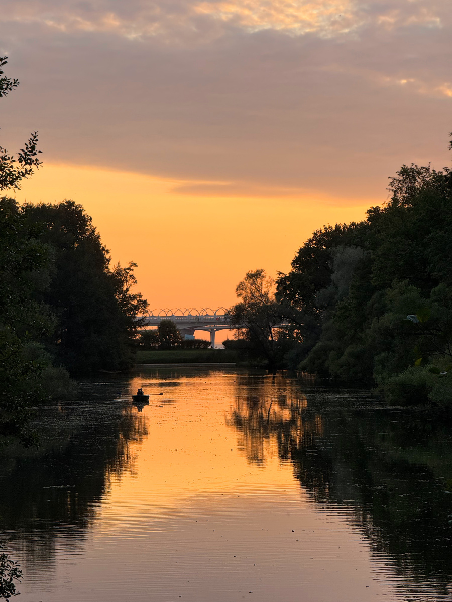 Плыву по течению в поисках работы