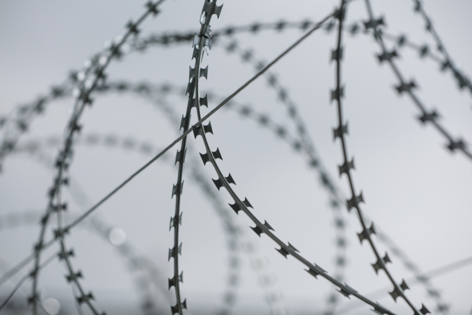    Алексей Белкин/NEWS.ru