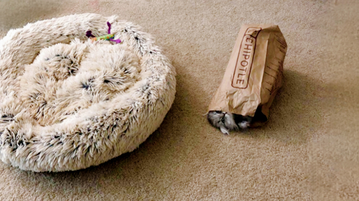 Я сам знаю, где мне лучше