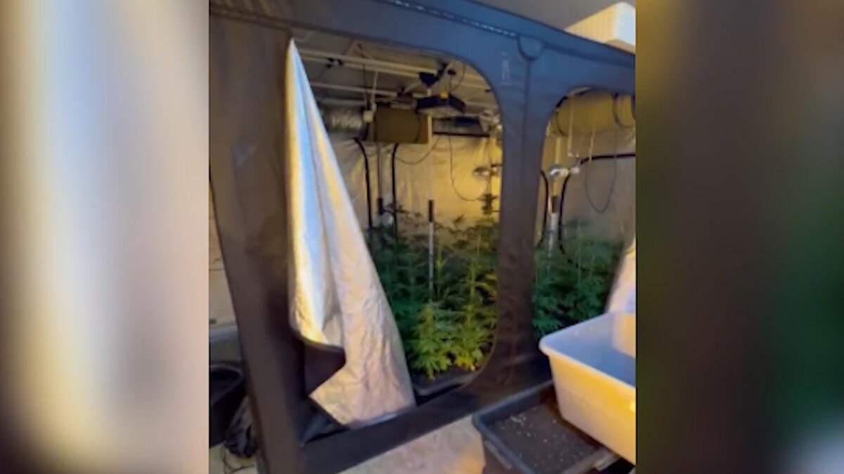    Фото: ГУ МВД по Петербургу и Ленобласти