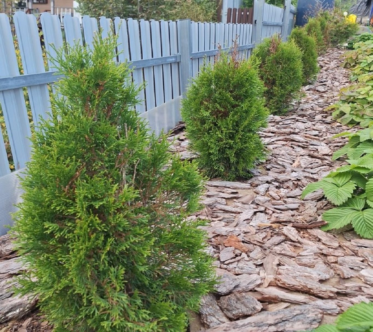 Фото: предоставила Елена Маркелова