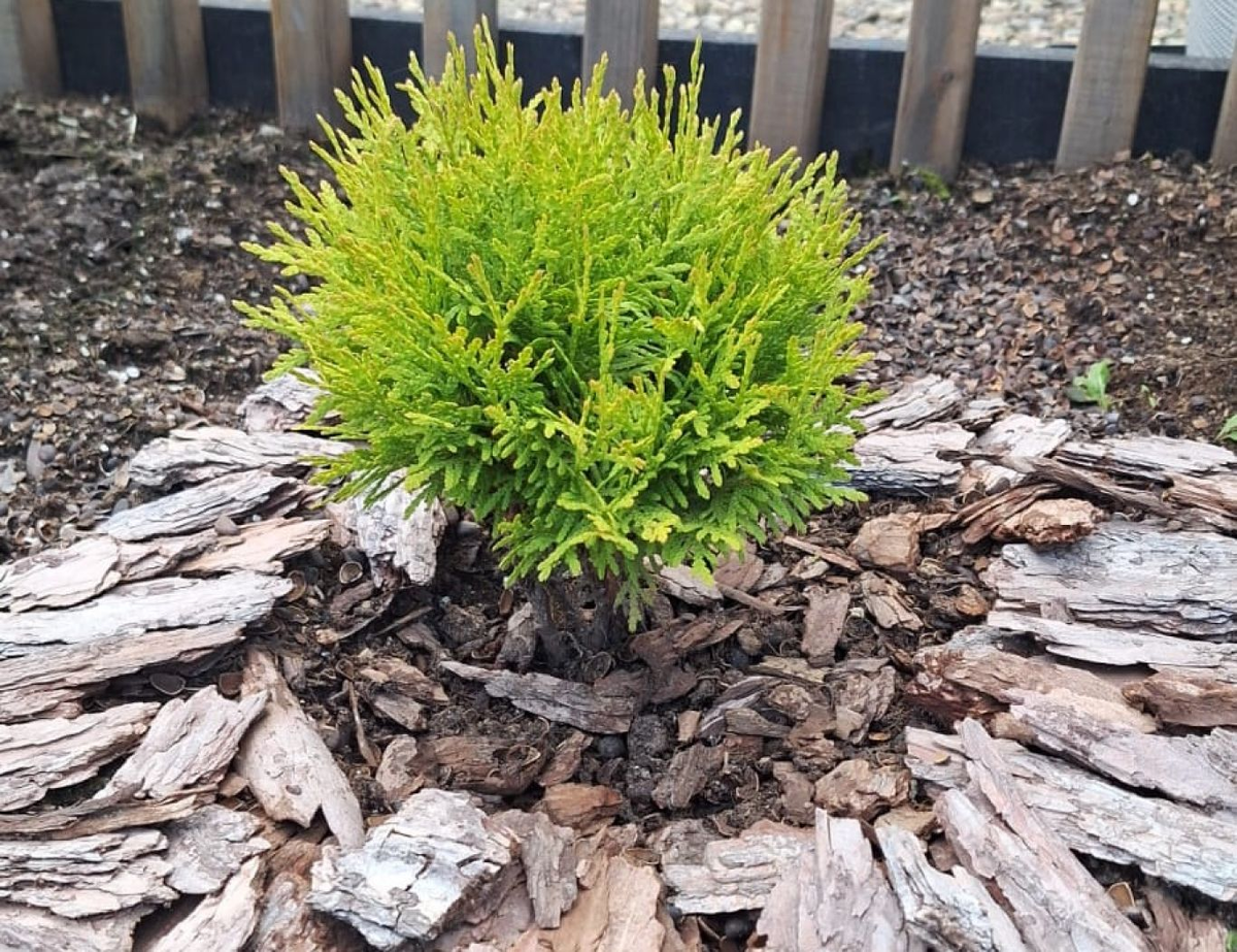 Фото: предоставила Елена Маркелова