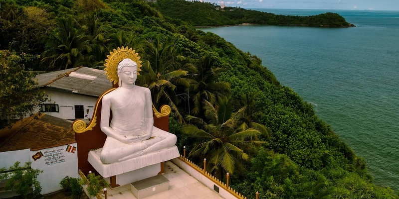 На Шри-Ланке.  фото: картинки яндекс.