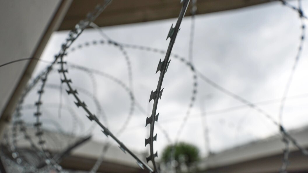    Фото: Belkin Alexey/Globallookpress