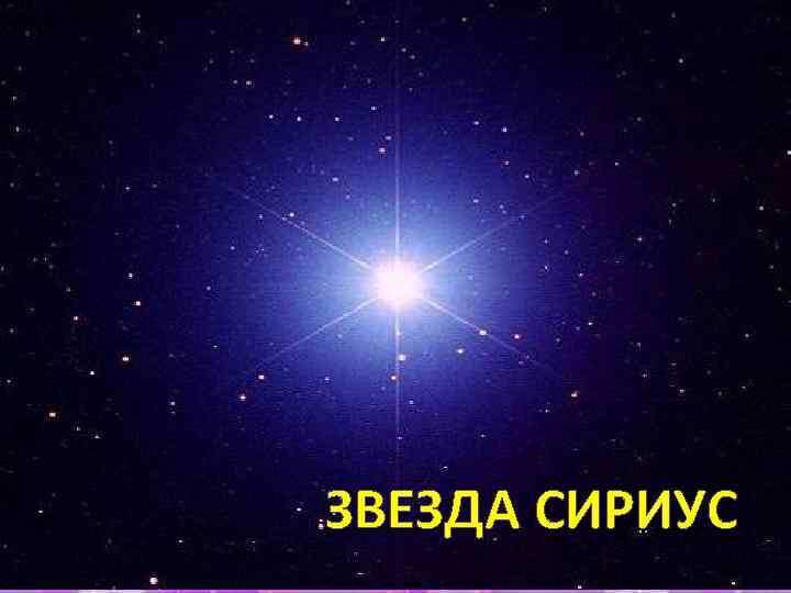 10 самых ярких звёзд