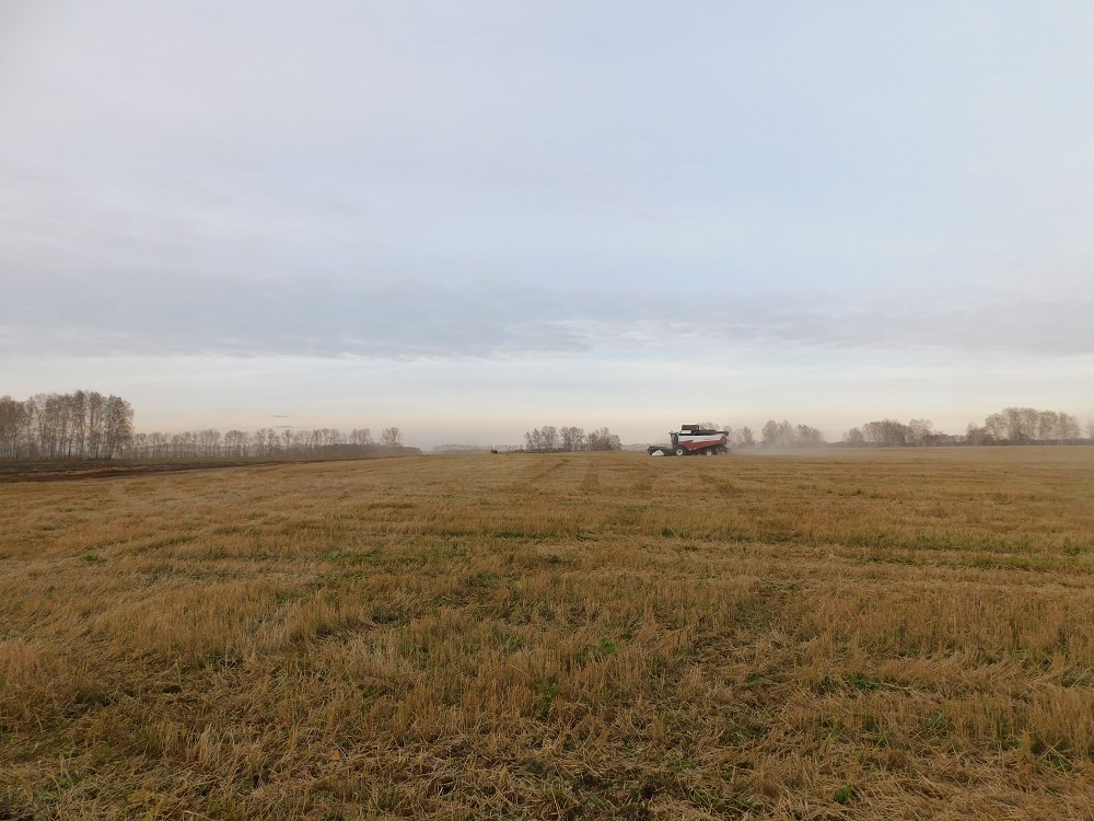    Похолодает в последние дни сентября. Фото Анны Зубаревой