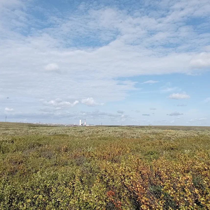 А даль была действительно прекрасна!