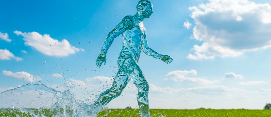 Водно-электролитный баланс это тонкий баланс, где важные компоненты этой среды – электролиты –положительно и отрицательно заряженные ионы обеспечивают жизнедеятельность всего организма. Они поддерживают нормальное давление внутри и вне клеток, обеспечивают кислотно-щелочное равновесие (pH), а также участвуют во множестве биохимических процессов. Нарушение этого баланса ведет к различным заболеваниям.

Электролиты представляют собой соли, которые при растворении в воде образуют отрицательные и положительные ионы.

Положительно заряженные ИОНы или катионы – это натрий, калий, кальций и магний.

Отрицательные ИОНы или анионы – хлориды, фосфаты и сульфаты. Это основные электролиты, которые выполняют ключевую функцию в регулировании водно-электролитного баланса.